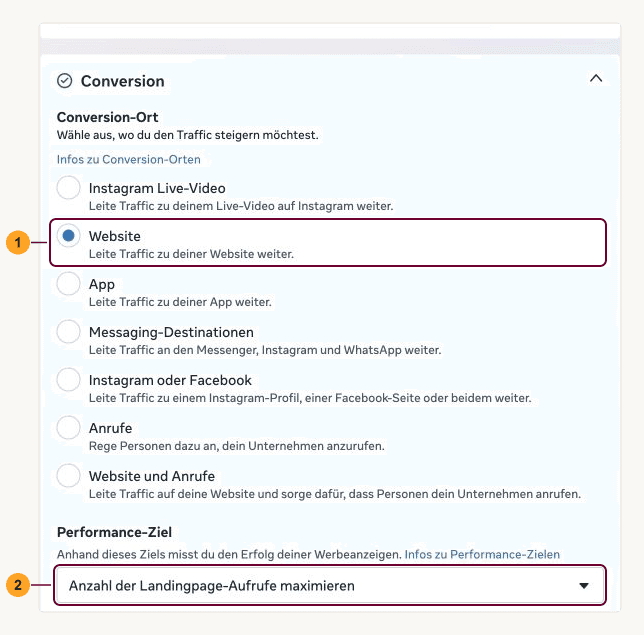 Conversion-Ort Website und Performance-Ziel Landingpage-Aufrufe markiert.