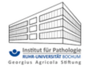 Georgius Agricola Stiftung Ruhr - Institut für Pathologie - Logo