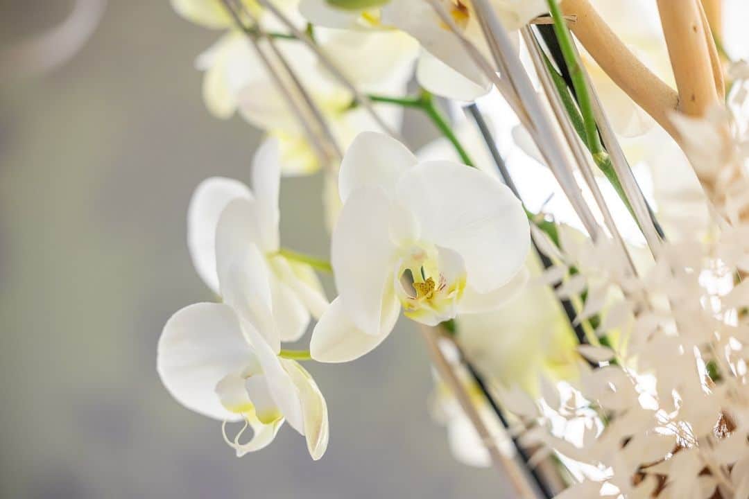 Bild von Praxis für Dermatologie