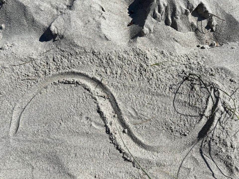 Bild von HNO Privatpraxis Dr.med. Katrin Klose