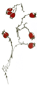 Hausarztpraxis C. Mory in Neckargemünd - Logo