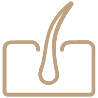 Logo - Hautarzt Prof. Hoffmann