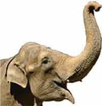 Logo - Kinderarztpraxis Puchheim