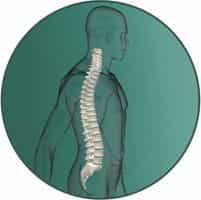 Logo - Orthopädie Wilmersdorf, Dr. Brünner und Dr. Pawellek