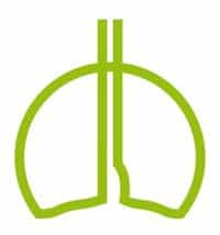 Logo - Pneumologische Praxis im Zentrum - PiZ