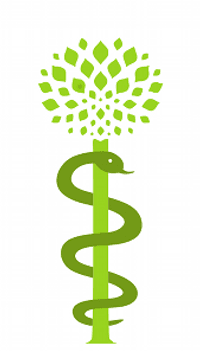Logo - Hausarztpraxis Dr. med. Katharina Zumbusch