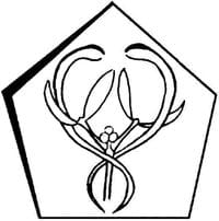Logo - Gemeinschaftspraxis für Allgemein-& Familienmedizin Dres. med. Schaefermeyer