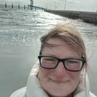 Bild -