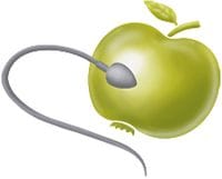 Logo - PRAXIS für FERTILITÄT - Dr. med. David J. Peet und Dr. med. Wibke Wilkening